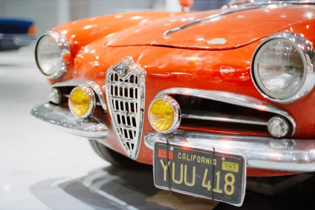 Ricky Casino App Android/iOS